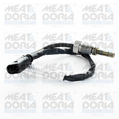 Sensor, exhaust gas temperature